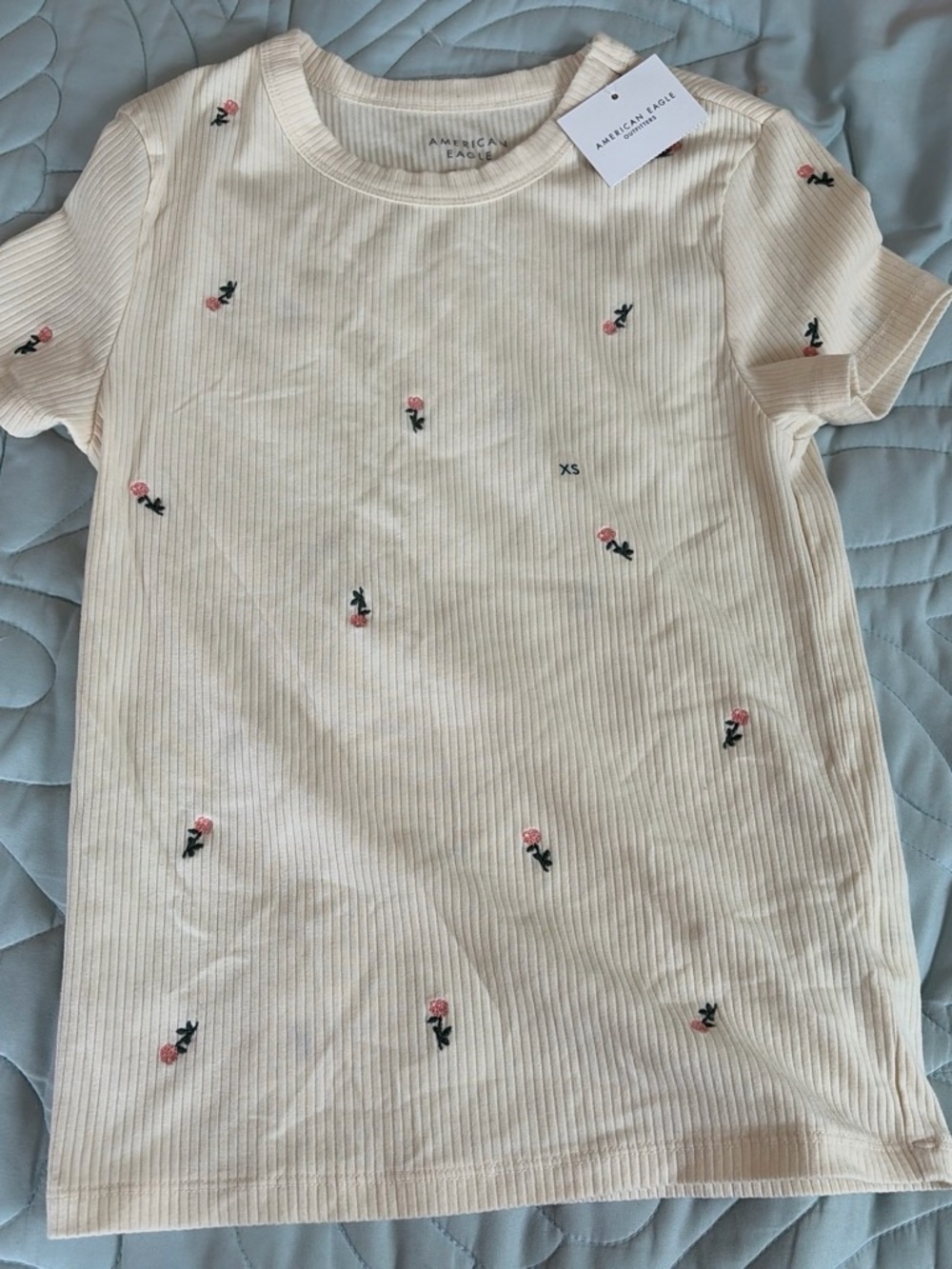 American Eagle Outfitters Cream Ribbed Tee with Pink Rose Embroidery